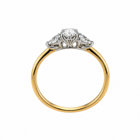 HuisCollectie HuisCollectie Ring 14k Bicolor met Diamant 616751