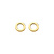 Blush Blush Oorstekers 14k geelgoud 7361YGO