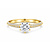 R&C R&C Ring Signature Solitair 18k Geelgoud met diamant RIN6004S-P-0.30SIW-0.17-GG