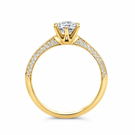 R&C R&C Ring Signature Solitair 18k Geelgoud met diamant RIN6004S-P-0.30SIW-0.17-GG