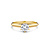 R&C R&C Ring Signature Solitair 18k Geelgoud met diamant RIN6004S-0.20-SIW-GG