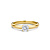 R&C R&C Ring Signature Solitair 18k Geelgoud met diamant RIN6003S-0.30-SIW-GG