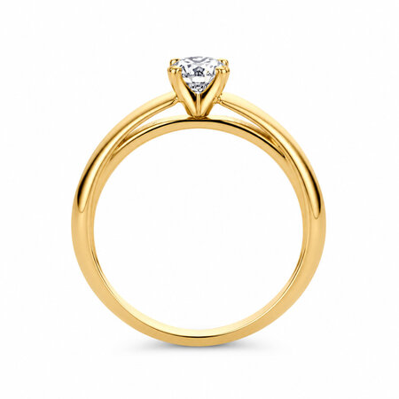 R&C R&C Ring Signature Solitair 18k Geelgoud met diamant RIN6003S-0.30-SIW-GG