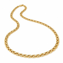 Monzario Monzario Collier 14k Geelgoud schakels 4.5mm 25718