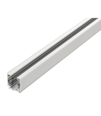 Rail triphase blanc ou noir 2m