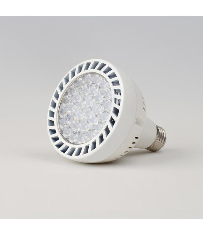 LAMPE LED SPOT PAR30S DIMMABLE E27