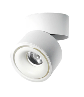 Plafonnier spots salle de bain IP44 2x5W LED GU10 noir orientable dimmable