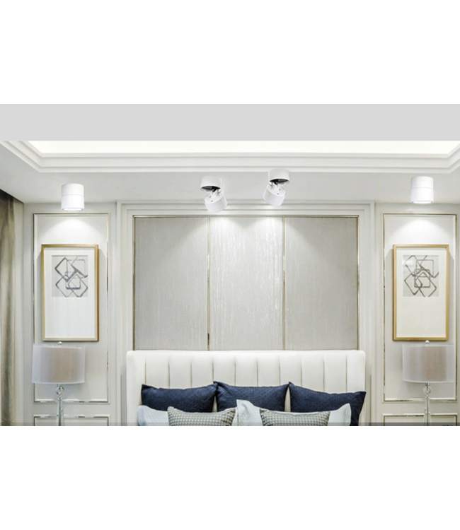 Plafondspot wit design LED 7W of 10W richtbaar dimbaar