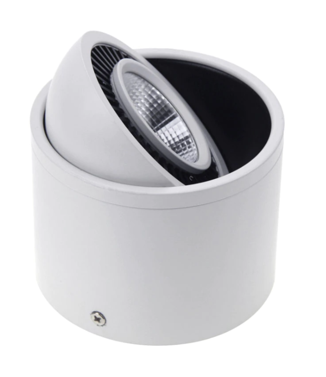 Kantelbare spot wit 7W of 15W richtbaar dimbaar