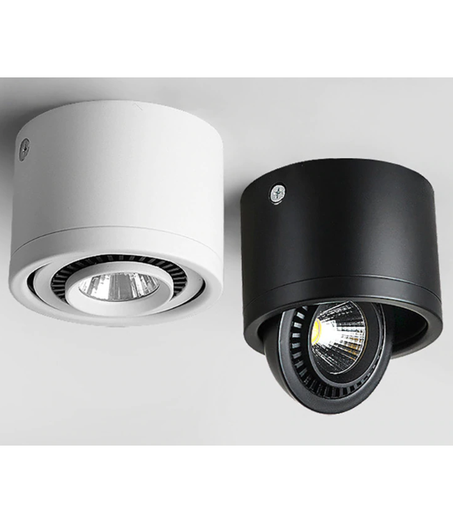 Kantelbare spot wit 7W of 15W richtbaar dimbaar