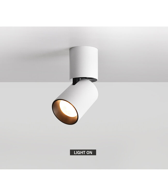 Dimbare plafondspot 7W LED  wit cilinder richtbaar