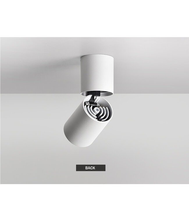 Dimbare plafondspot 7W LED  wit cilinder richtbaar