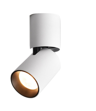 Dimbare plafondspot 7W LED  wit cilinder richtbaar