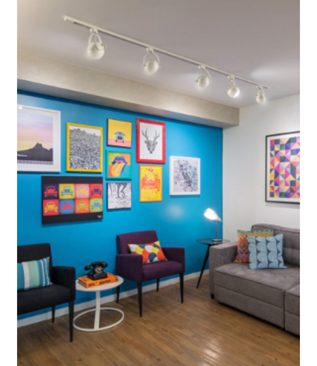 Spot sur rail GU10 boule blanc ou noir monophase