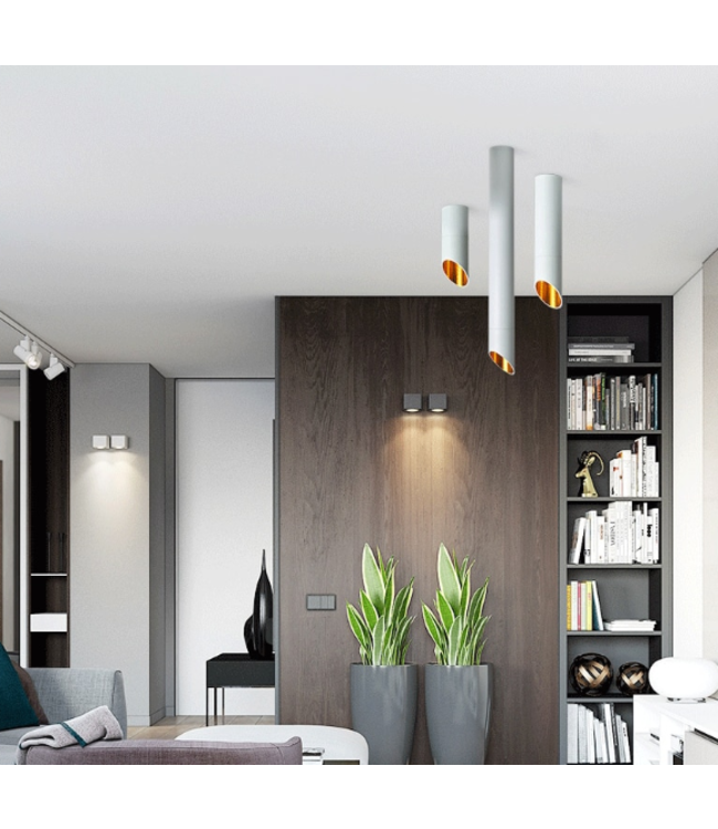 Kokerlamp plafond wit of zwart met goud 20, 30 of 60 cm lang