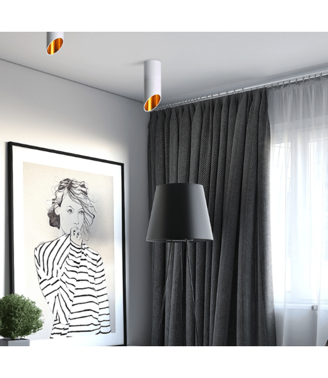 Kokerlamp plafond wit of zwart met goud 20, 30 of 60 cm lang