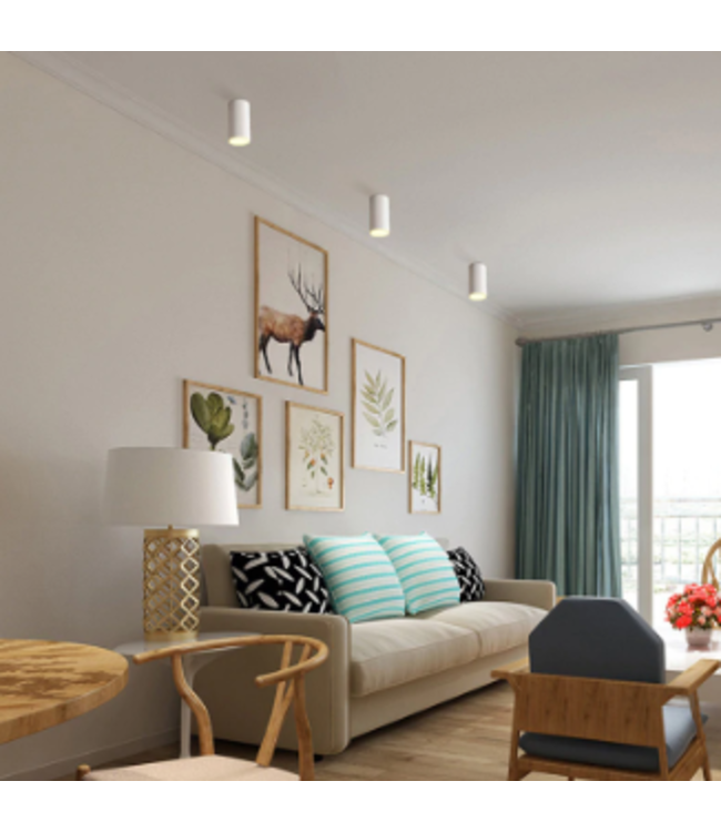 Plafondspot zwart goud of wit goud LED 7W Dimbaar