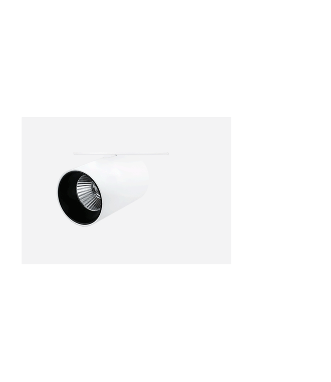 Spot encastrable extensible LED 10W noir ou blanc