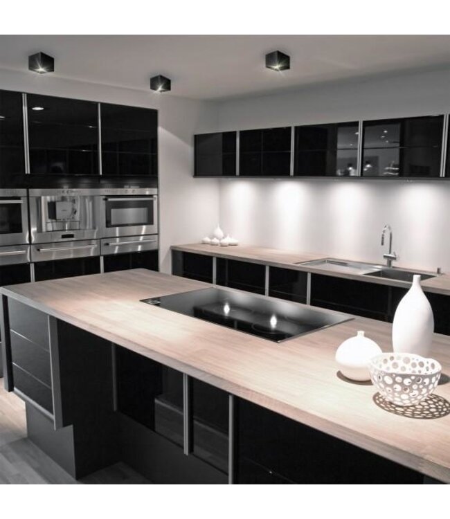 Spot saillie orientable noir GU10 carré 220V