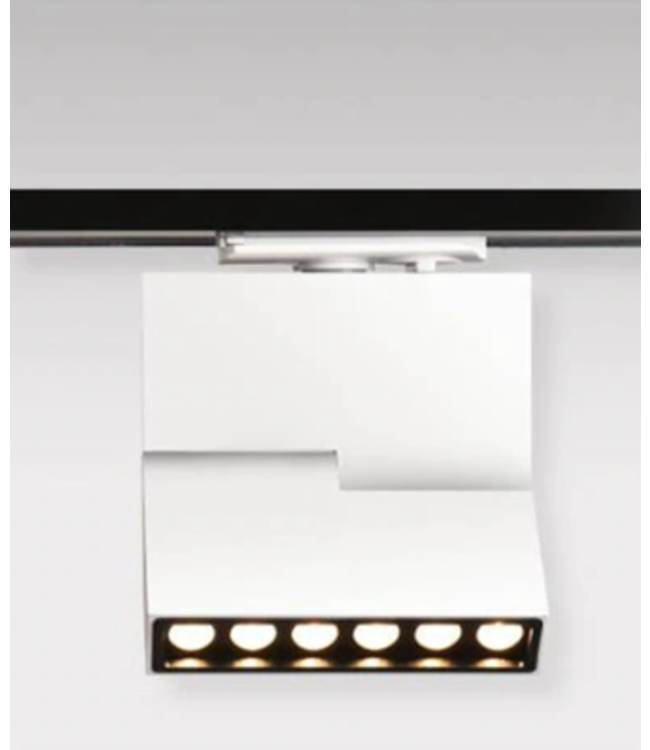 Plafondlamp rail wit of zwart 12W