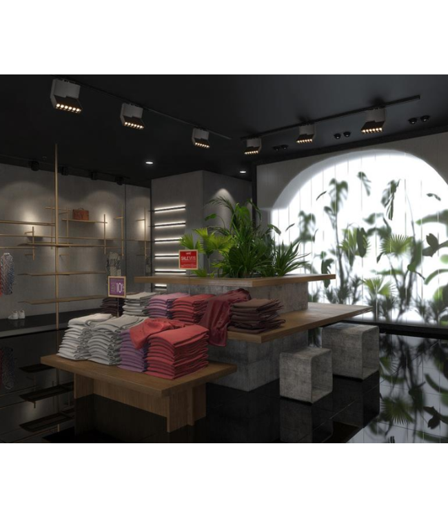 Plafondlamp rail wit of zwart 12W