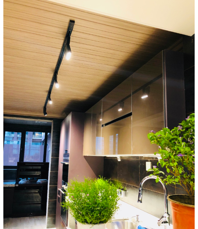 Rail lamp 20W LED zwart of wit dimbaar