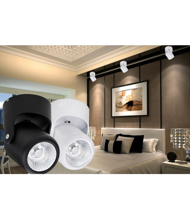 Lumière sur rail LED 10W blanc ou noir dimmable monophasé