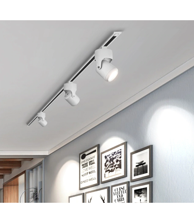 Lumière sur rail LED 10W blanc ou noir dimmable monophasé