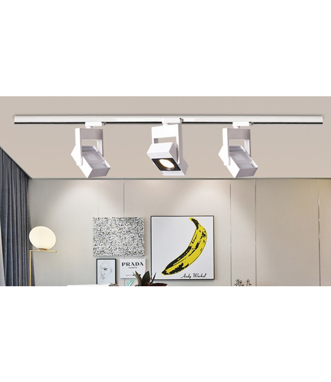 Spot railverlichting LED 30W wit of zwart