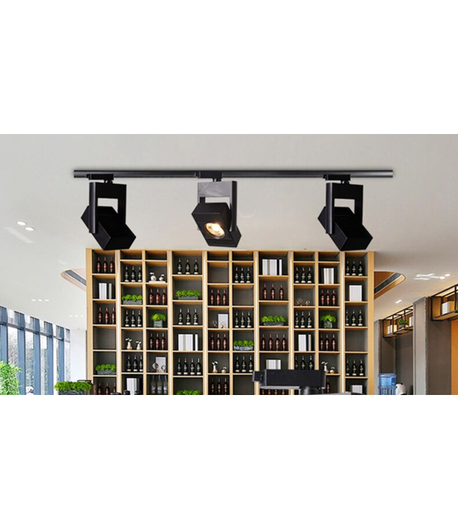 Spot railverlichting LED 30W wit of zwart