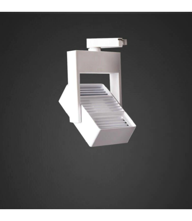 Spot railverlichting LED 30W wit of zwart