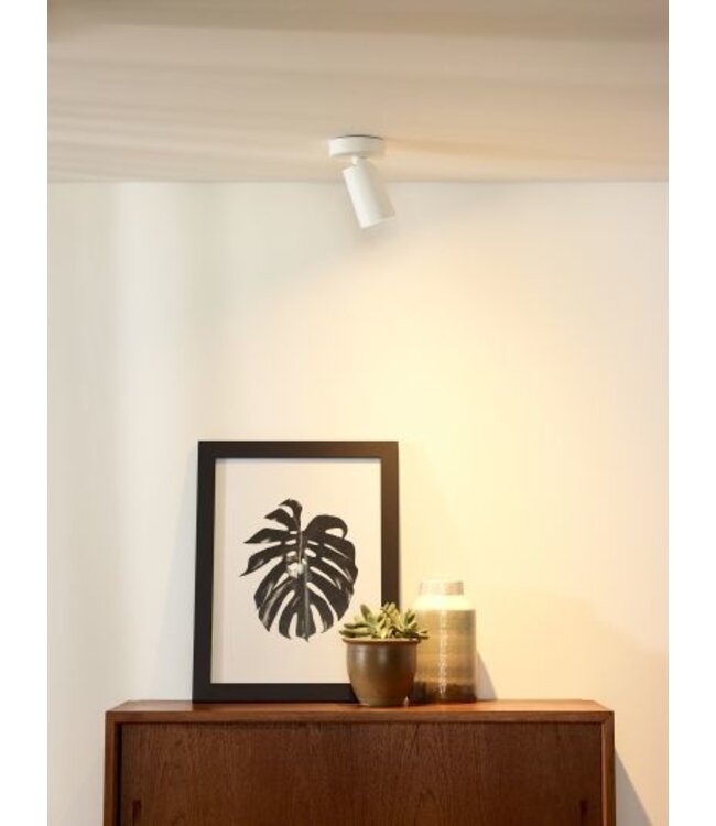 Plafondlamp verstelbaar 5W LED dim to warm wit of zwart