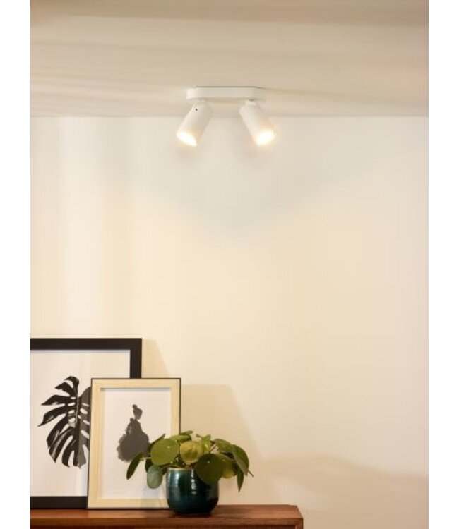 Spot double plafond orientable 2x5W LED dim to warm blanc ou noir