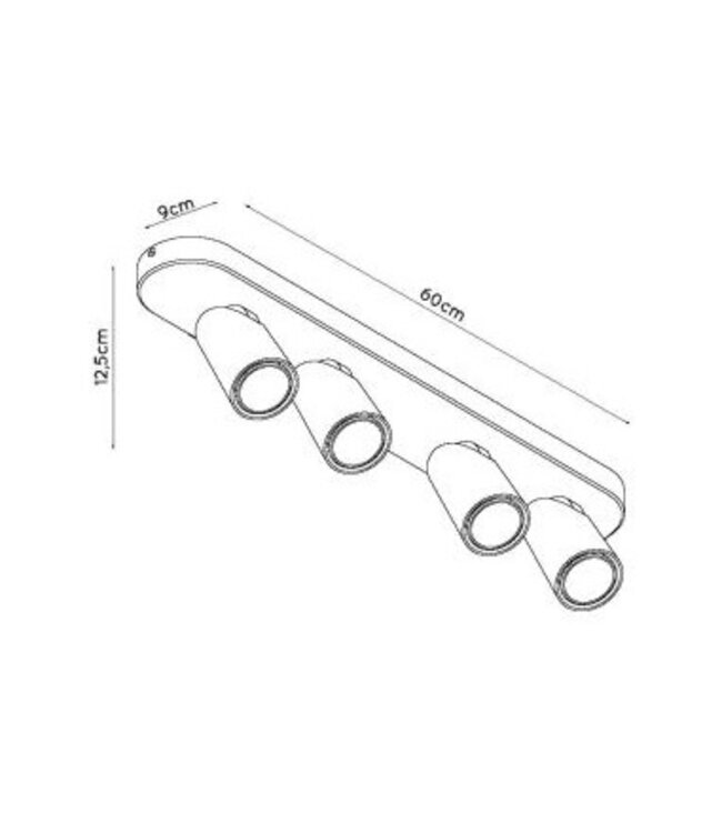 Plafondlamp 4 lampen 4x5W LED dim to warm wit of zwart