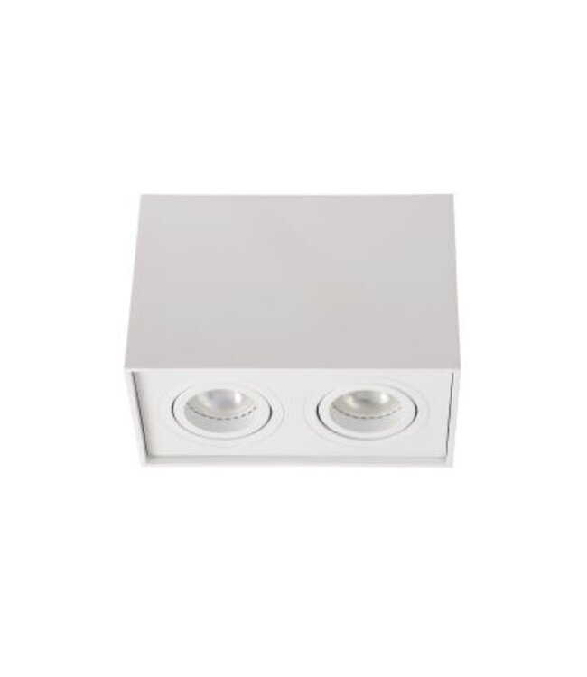 Plafondlamp GU10 x2 wit of zwart 230 V