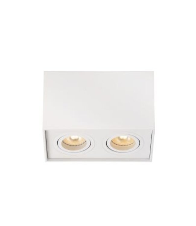 Plafonnier avec spots orientables 2xGU10 blanc ou noir 230V