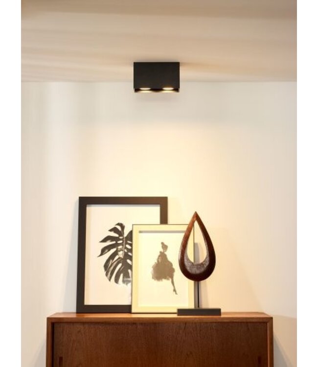 Spot plafond couloir 2xGU10 blanc ou noir