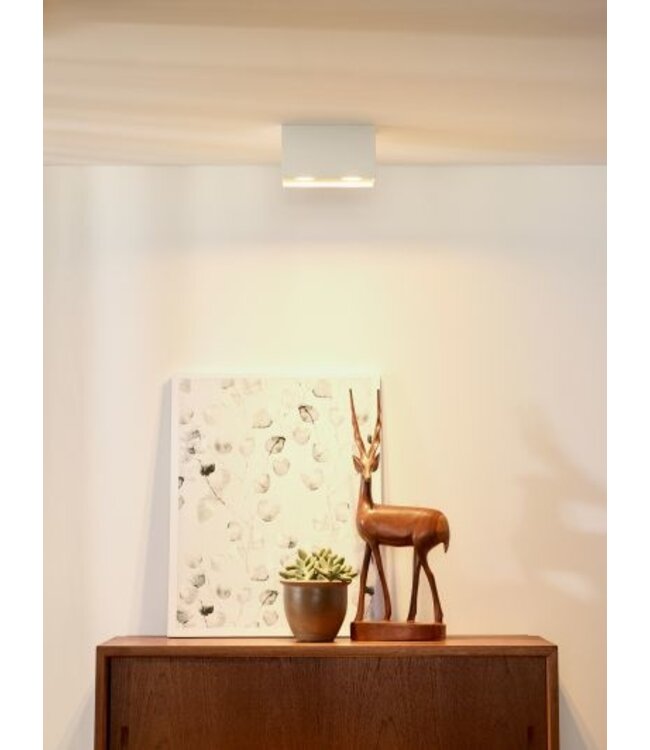 Plafondlamp toilet 2xGU10 wit of zwart