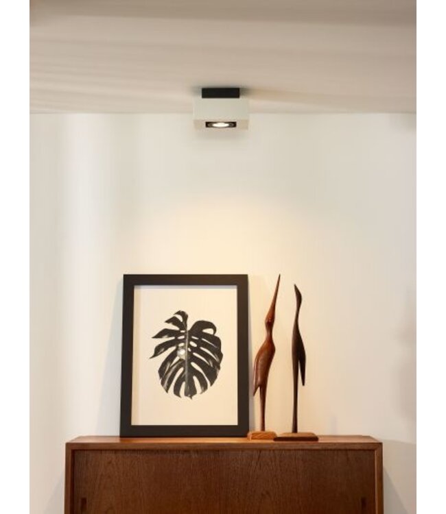 Spot en saillie orientable 1x5W LED dim to warm blanc ou noir