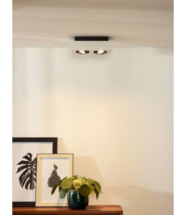 Plafonnier 2 spots LED blanc-noir ou noir 2x5W dim to warm