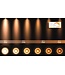 Plafonnier 2 spots LED blanc-noir ou noir 2x5W dim to warm