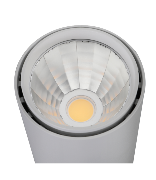 Spot sur rail LED triphasé 30W 4000 lumen noir, blanc