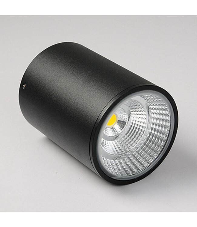 Plafondlamp buiten zwart, wit, chroom 7W LED IP65