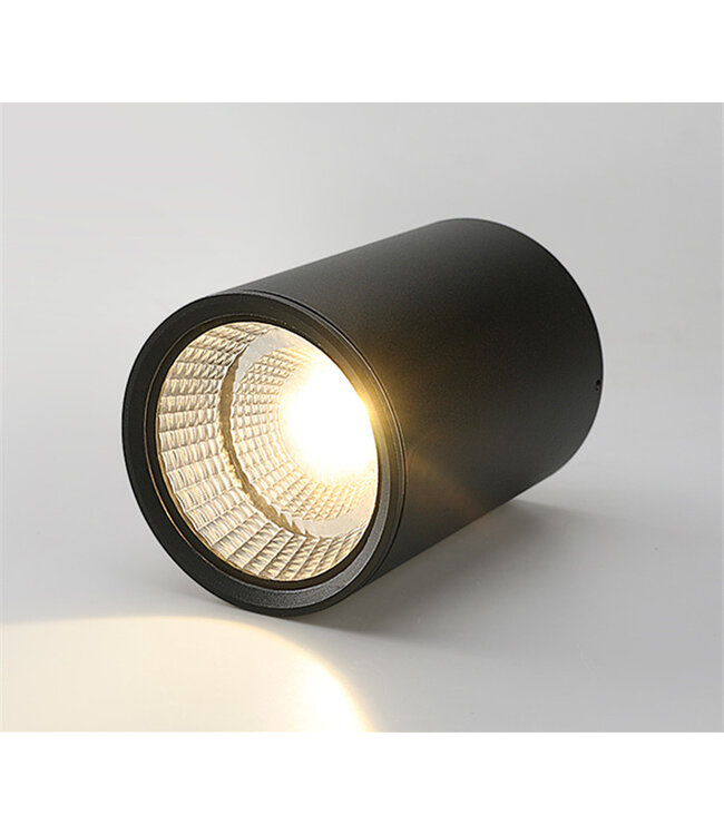 Plafondlamp buiten zwart, wit, chroom 7W LED IP65