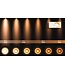Badkamerlamp spots 4x5W LED GU10 dim to warm wit of zwart