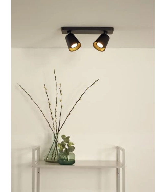 Rampe 2 spots LED noir doré orientable