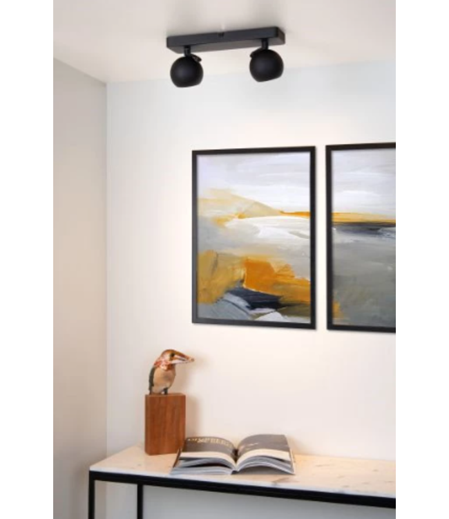 Plafonnier 2 spots 2xGU10 blanc ou noir orientable