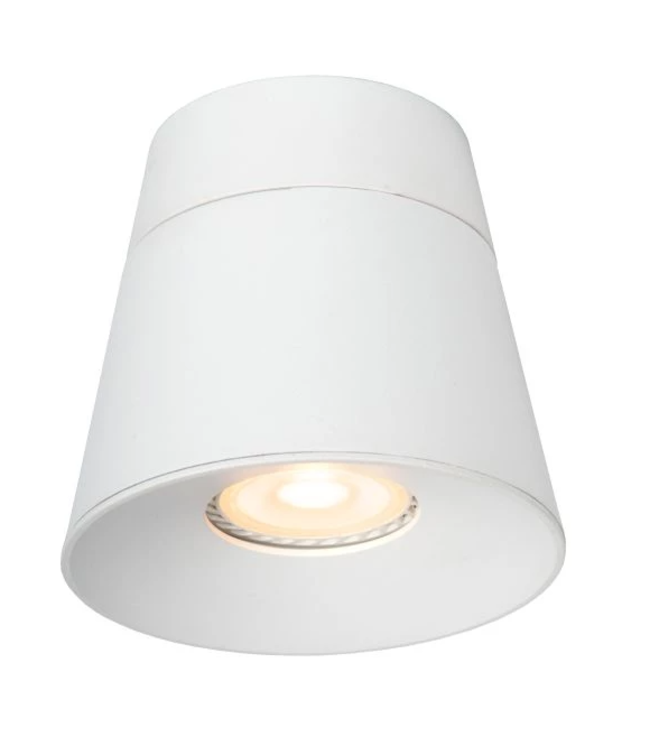 Opbouw spot wit of zwart 1xGU10 richtbaar