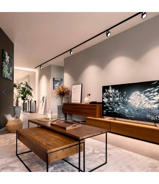 Luminaire sur rail noir GU10 triphasé AR111 (Ampoule non-comprise)