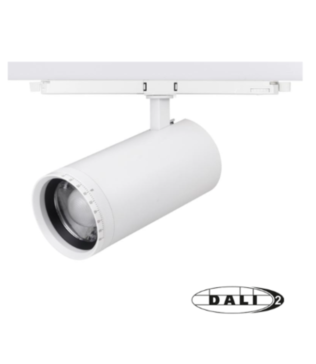 Spot LED rail triphasé Dali magasin TCC 30W 15-55° blanc ou noir